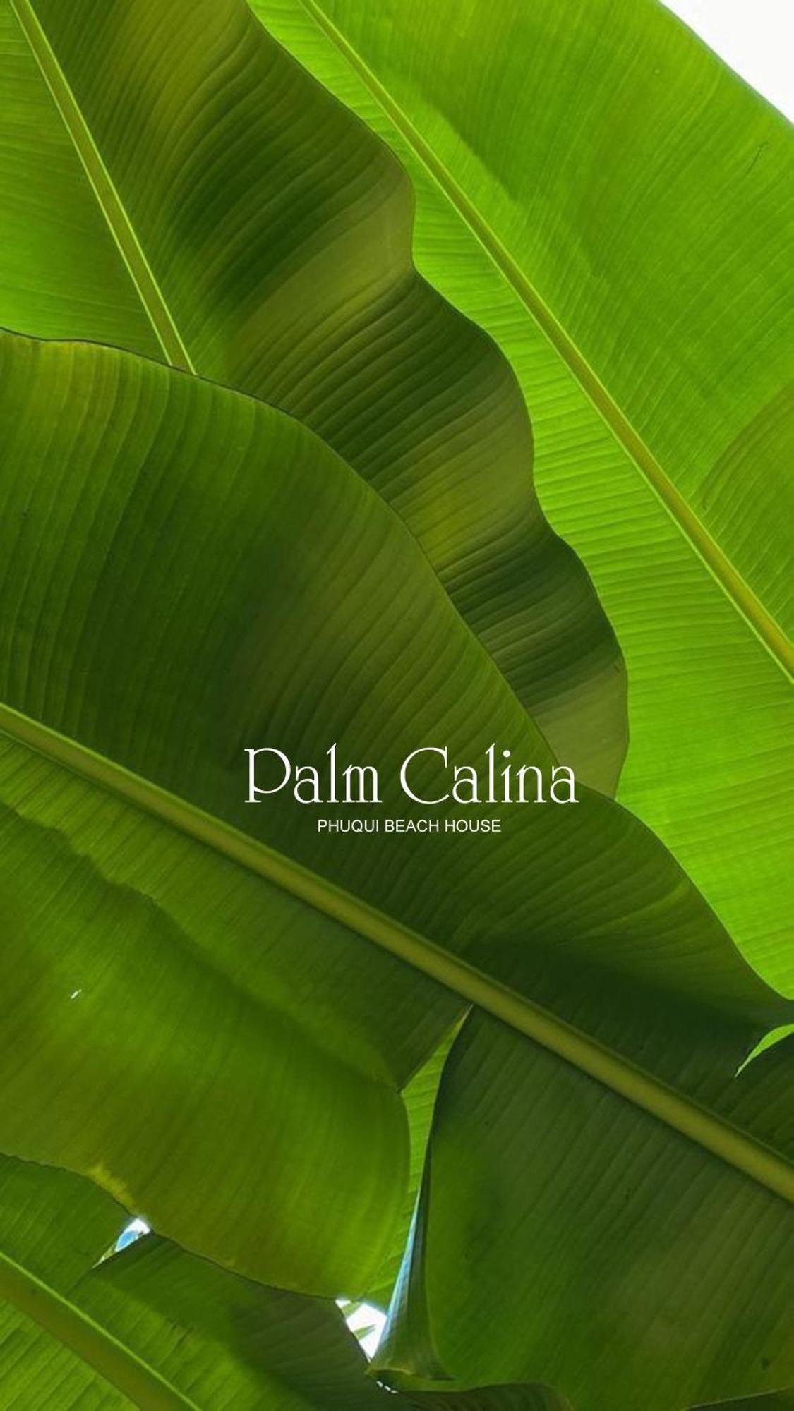 Palmcalina - Phuqui Beach House Cu Lao Thu Zewnętrze zdjęcie