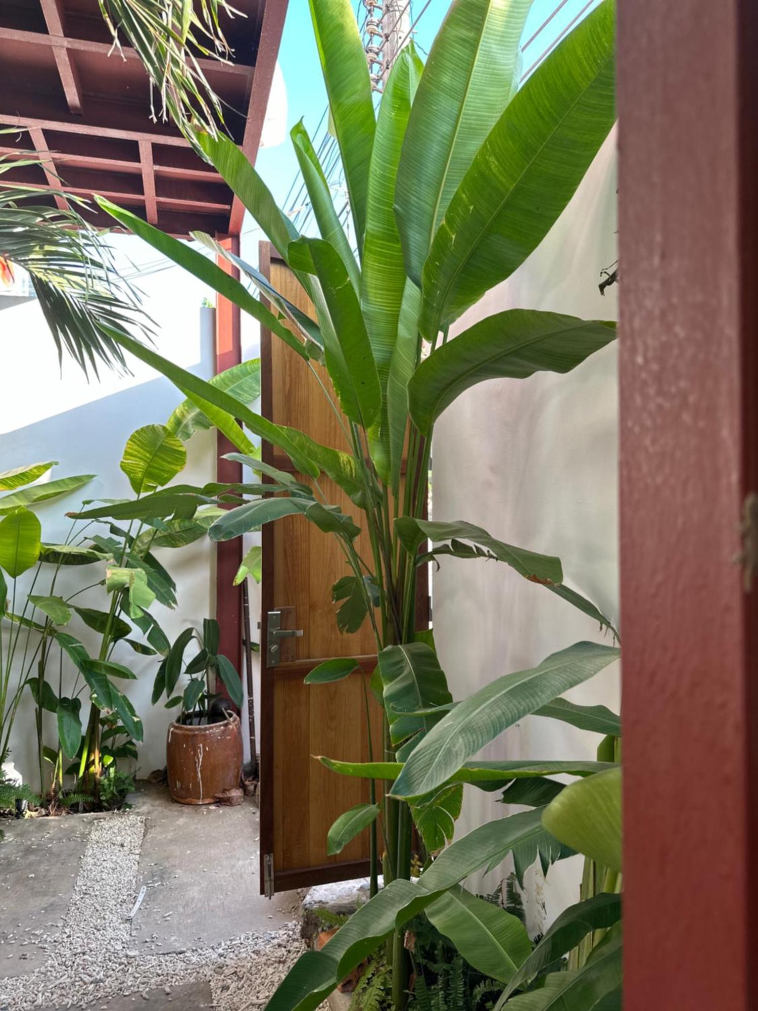 Palmcalina - Phuqui Beach House Cu Lao Thu Zewnętrze zdjęcie