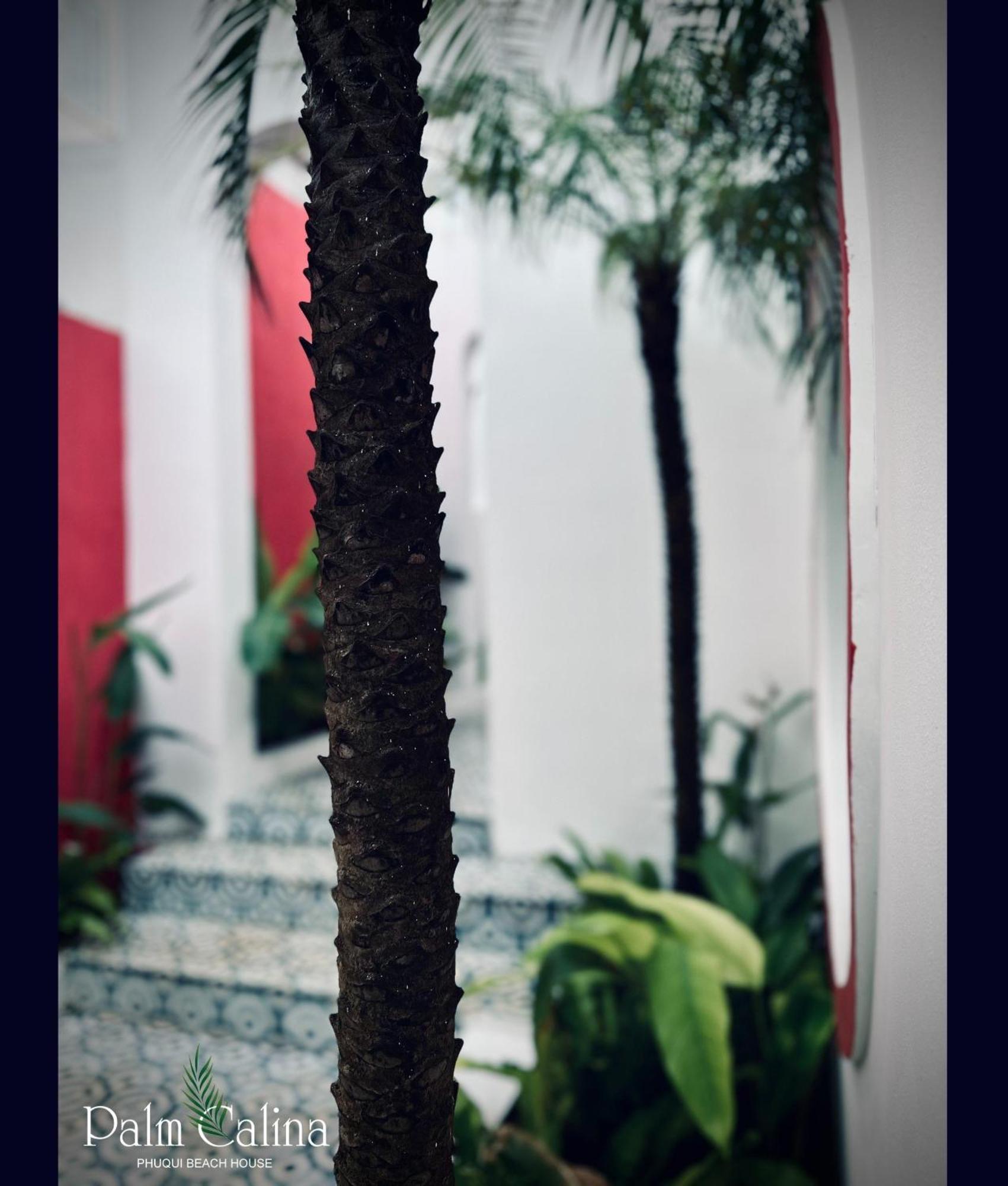 Palmcalina - Phuqui Beach House Cu Lao Thu Zewnętrze zdjęcie